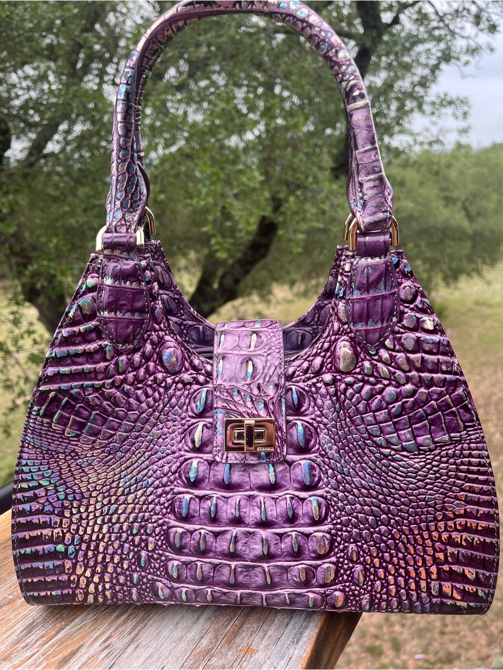 NWT Brahmin Small ADRIAN in PASSION PURPLE SATCHEL